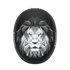 POC Obex Pure Odermatt Ed Limited Edition Helmet